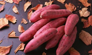紫薯和红薯哪个更减肥 紫薯和红薯哪个热量低
