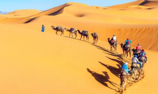 世界上最大的沙漠是哪个沙漠（世界上最大的沙漠是哪个沙漠骆驼）
