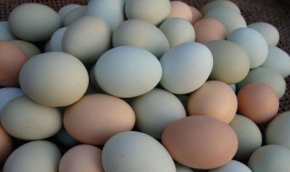 鸡蛋壳有什么用 鸡蛋壳有什么用处脑筋急转
