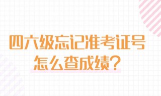 四级忘记准考证号怎么查成绩 英语四级忘记准考证号怎么查成绩百度经验