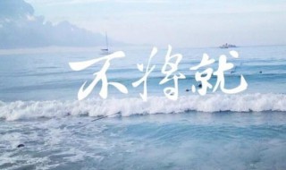 将就是什么意思（不能将就是什么意思）