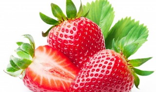 草莓种植技术 大棚草莓种植技术