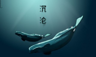 沉沦故事梗概（沉沦故事梗概图片大全）