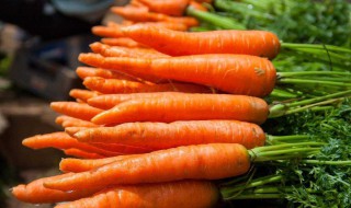 吃胡萝卜的好处（吃胡萝卜的好处与功效能减肥吗）