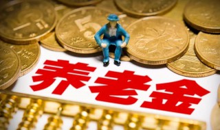 城镇居民社会养老保险介绍（城镇居民养老保险社保 缴费标准是多少）