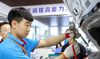 学什么专业有前景（色弱学什么专业有前景）