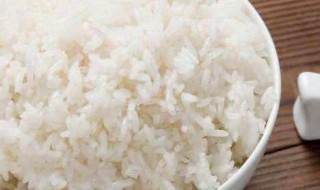 米饭热量 米饭热量是多少大卡