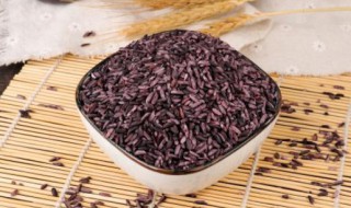 紫米的营养价值功效与作用 紫米的营养与功效与作用