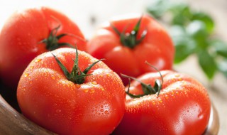 西红柿熟的和生的哪个有营养价值 西红柿熟吃和生吃哪种营养好些