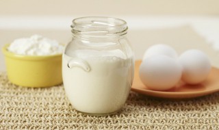 植物奶是什么 植物奶是什么材料的