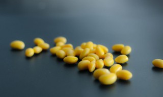 黄豆种植时间和技术 黄豆种植时间和技术视频