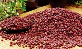红小豆怎么做好吃 红小豆怎么做好吃又简单