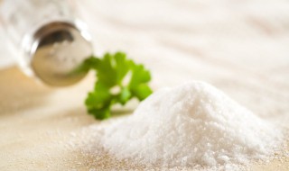 食盐是一种什么颗粒 食盐是一种什么颗粒物质