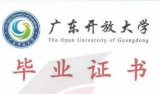 大专与本科学历有什么区别 大专和本科哪个学历高 有什么区别