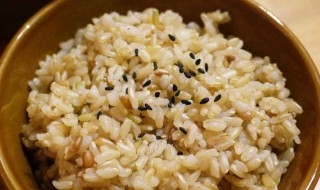 糙米饭怎么煮容易烂 糙米饭怎么煮容易烂呢
