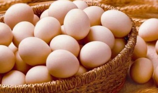 笨鸡蛋和普通鸡蛋营养价值一样吗 笨鸡蛋和普通鸡蛋营养价值一样吗?