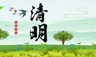 清明节的由来与来历（清明节的由来与来历简介）
