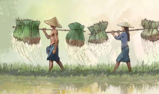 谷雨的来历和风俗（谷雨的来历和风俗介绍）