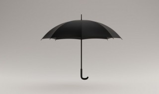雨伞用英语怎么读 雨伞用英语怎么读umbrella