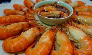 猫可以吃虾吗 宠物猫可以吃虾吗