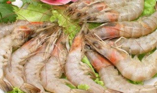 虾可以生吃吗 红魔虾可以生吃吗