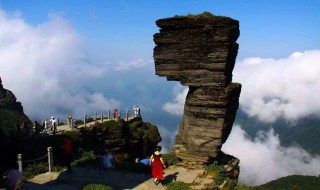 梵净山旅游景点介绍 梵净山旅游景点介绍1000字