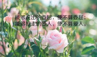 比较唯美的朋友圈句子大全（比较唯美的朋友圈句子大全图片）