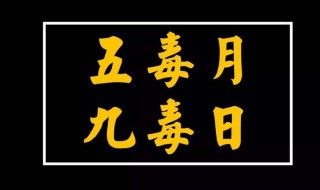 九毒日是哪几天（2024年的九毒日是哪几天）