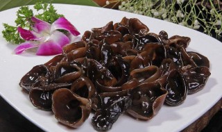 黑木耳功效（黑木耳功效与副作用）