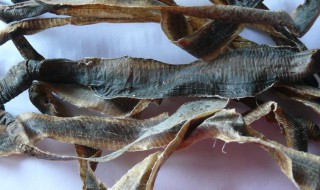 地龙的功效（地龙的功效与作用）