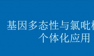 什么叫基因多态性 基因多态性的定义