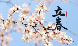 立春是什么时候（2024立春是什么时候）