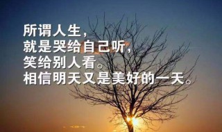 清晨发的优美句子朋友圈（清晨发的优美句子朋友圈图片）