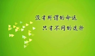 朋友圈发的正能量语录集（适合朋友圈发的正能量句子短句）