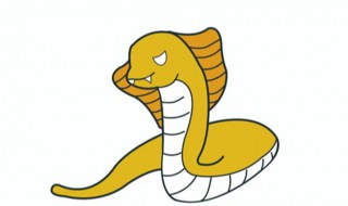 蛇怎么养 玉米蛇怎么养