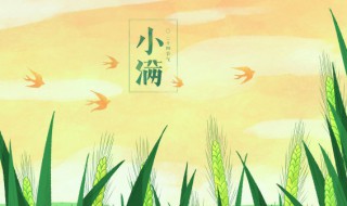 描写小满节气的诗句 描写小满节气的诗句古诗