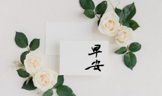 最新早上问候祝福（最新早上问候祝福图片）