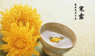寒露节气的风俗食物（寒露节气风俗食物清单）