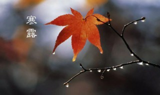 寒露节气习俗（寒露节气风俗）