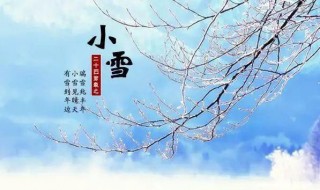 小雪节气习俗（小雪节气 风俗）