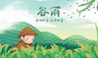 谷雨节气的风俗食物（谷雨节气饮食风俗）