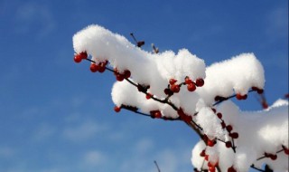 雪的形成 雪的形成原因