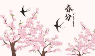 春分节气寓意（春分节气寓意什么）