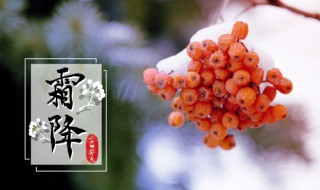 霜降节气祝福语 霜降节气祝福语短信