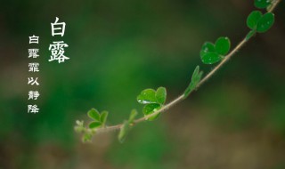 白露节气古诗词（白露节气古诗词大全）