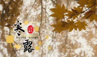 寒露节气诗句（寒露节气诗句和谚语）