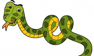 梦见绿色的蛇（梦见绿色的蛇是什么预兆）