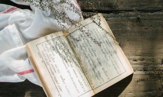 西游记三调芭蕉扇概括（西游记三调芭蕉扇概括200字）