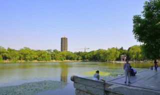 怎么选择好自己的大学（怎么选择好自己的大学英语作文）