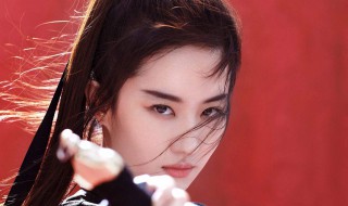 花木兰是不是中国公主 花木兰是公主还是将军